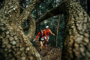 BIB: 
                            <button type="button" onclick="openModal(25703321)" class="btn btn-primary btn-sm float-right btn-popup" data-toggle="modal" data-target=".modal-high-quality">
                        <i class="fas fa-shopping-cart"></i> Add to Cart
                    </button>
                                            <button type="button" onclick="isThisMe(25703321, true)" class="btn btn-success btn-sm float-right btn-popup btn-isme hidden" data-toggle="tooltip" data-placement="bottom" title="นี่คือรูปของคุณใช่ไหม คลิกที่นี่เพื่อเอาเข้าอัลบั้ม">
                        <i class="fas fa-plus"></i> Add to album
                    </button>
                    <button type="button" onclick="isThisMe(25703321, false)" class="btn btn-warning btn-sm float-right btn-popup btn-isnotme hidden">
                        <i class="fas fa-ban"></i> Remove from album
                    </button>